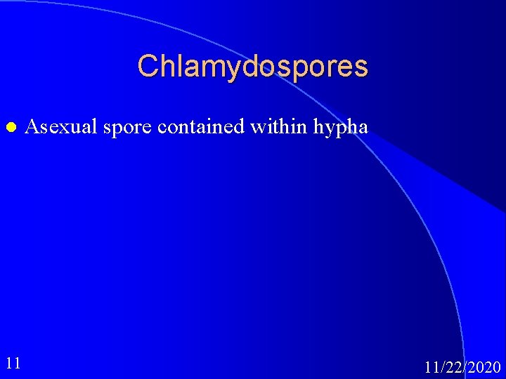 Chlamydospores l 11 Asexual spore contained within hypha 11/22/2020 