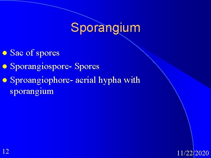 Sporangium Sac of spores l Sporangiospore- Spores l Sproangiophore- aerial hypha with sporangium l