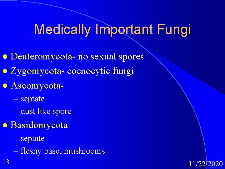 Medically Important Fungi Deuteromycota- no sexual spores l Zygomycota- coenocytic fungi l Ascomycotal –