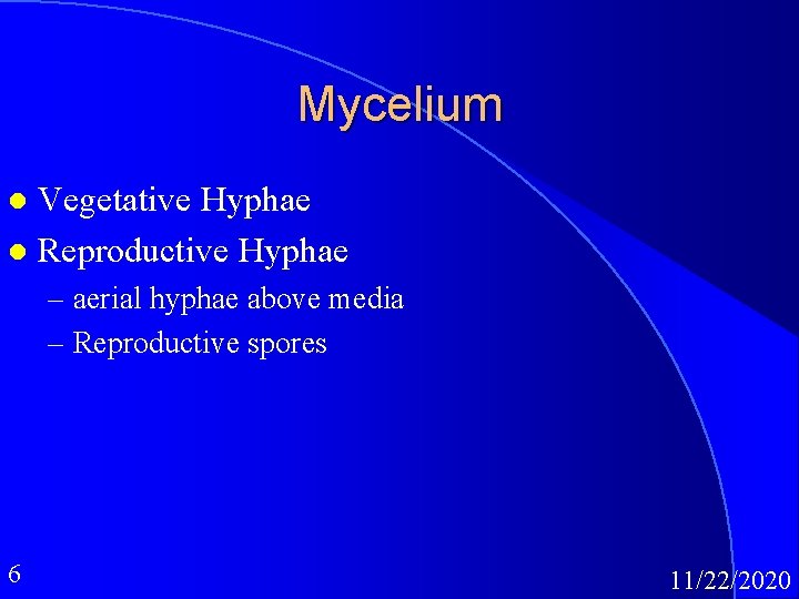 Mycelium Vegetative Hyphae l Reproductive Hyphae l – aerial hyphae above media – Reproductive