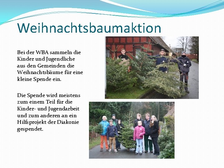 Weihnachtsbaumaktion Bei der WBA sammeln die Kinder und Jugendliche aus den Gemeinden die Weihnachtsbäume