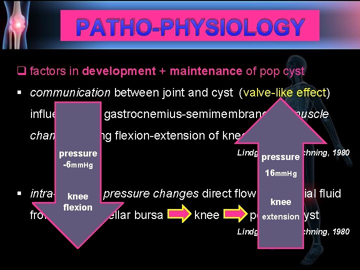 PATHO-PHYSIOLOGY q factors in development + maintenance of pop cyst § communication between joint