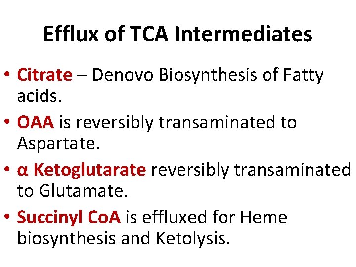 Efflux of TCA Intermediates • Citrate – Denovo Biosynthesis of Fatty acids. • OAA