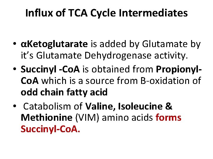 Influx of TCA Cycle Intermediates • αKetoglutarate is added by Glutamate by it’s Glutamate