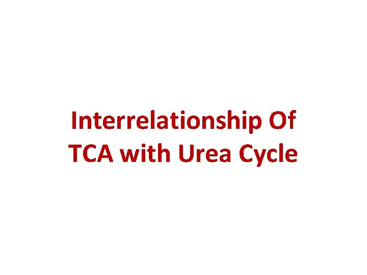 Interrelationship Of TCA with Urea Cycle 