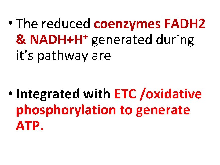  • The reduced coenzymes FADH 2 & NADH+H+ generated during it’s pathway are