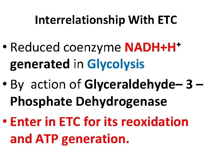 Interrelationship With ETC • Reduced coenzyme NADH+H+ generated in Glycolysis • By action of