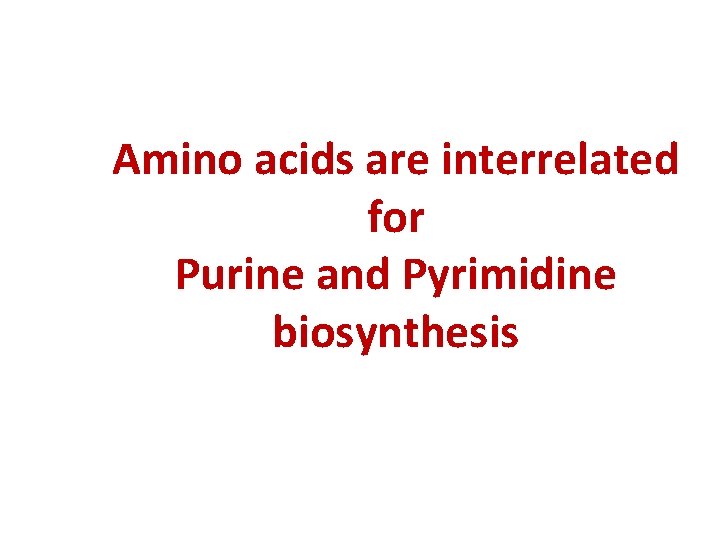Amino acids are interrelated for Purine and Pyrimidine biosynthesis 