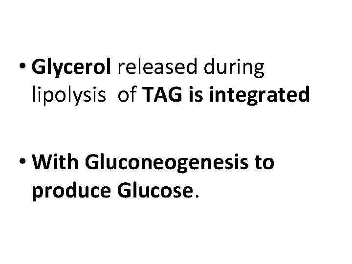  • Glycerol released during lipolysis of TAG is integrated • With Gluconeogenesis to