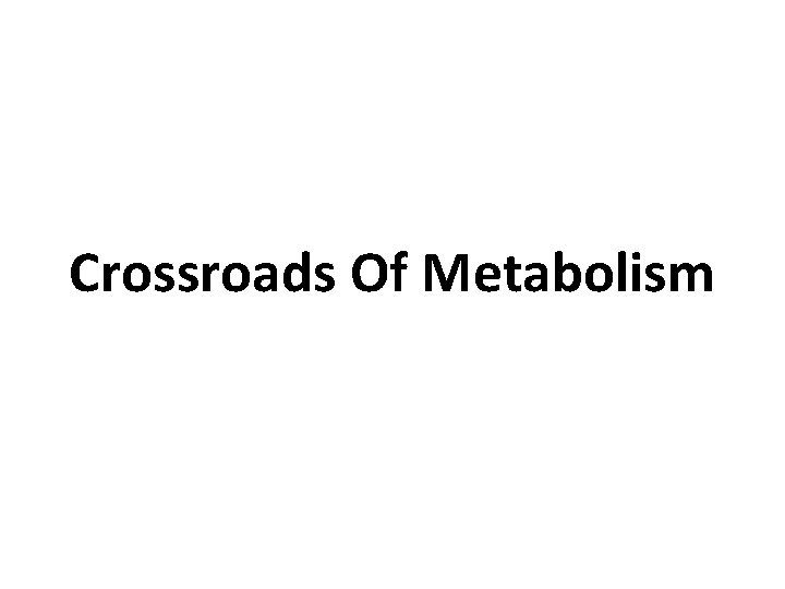 Crossroads Of Metabolism 