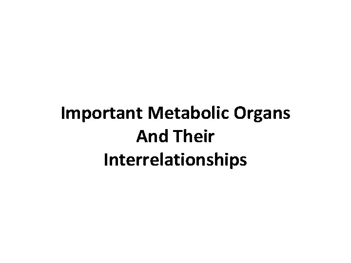 Important Metabolic Organs And Their Interrelationships 