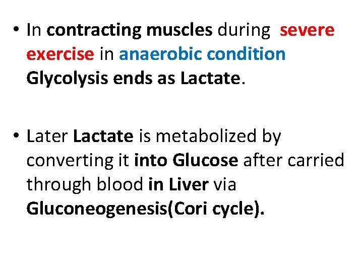  • In contracting muscles during severe exercise in anaerobic condition Glycolysis ends as