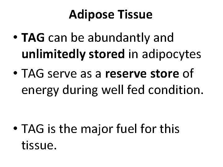 Adipose Tissue • TAG can be abundantly and unlimitedly stored in adipocytes • TAG