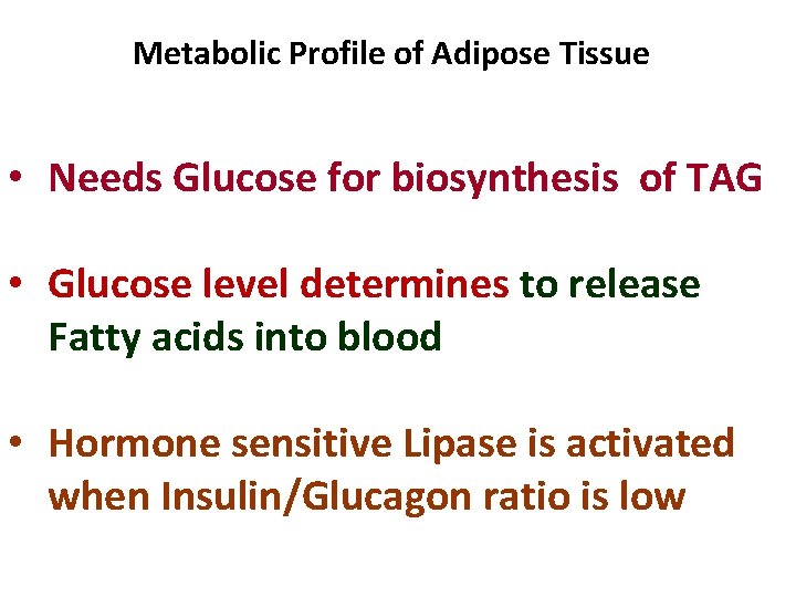 Metabolic Profile of Adipose Tissue • Needs Glucose for biosynthesis of TAG • Glucose