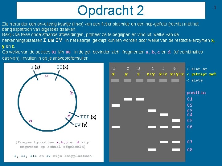 Opdracht 2 3 Zie hieronder een onvolledig kaartje (links) van een fictief plasmide en