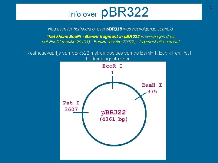 Info over p. BR 322 Nog even ter herinnering: over p. BRl 15 was