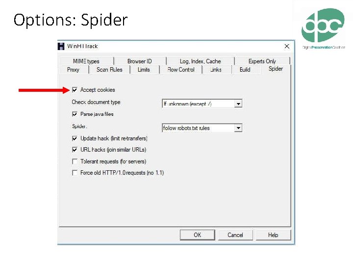 Options: Spider 