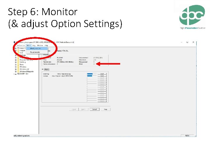 Step 6: Monitor (& adjust Option Settings) 