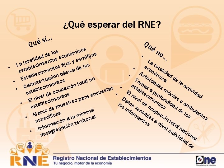 ¿Qué esperar del RNE? í… s é u Q Qu én os c i