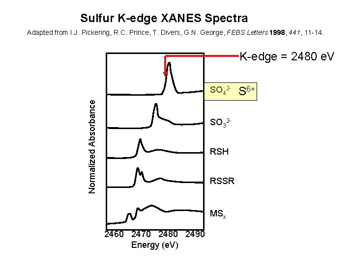 Sulfur K-edge XANES Spectra Adapted from I. J. Pickering, R. C. Prince, T. Divers,