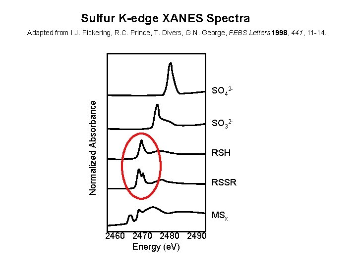 Sulfur K-edge XANES Spectra Adapted from I. J. Pickering, R. C. Prince, T. Divers,