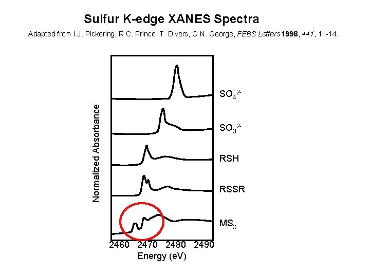 Sulfur K-edge XANES Spectra Adapted from I. J. Pickering, R. C. Prince, T. Divers,