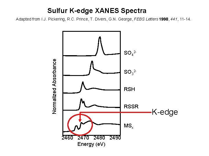 Sulfur K-edge XANES Spectra Adapted from I. J. Pickering, R. C. Prince, T. Divers,