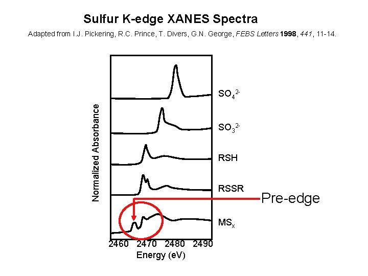 Sulfur K-edge XANES Spectra Adapted from I. J. Pickering, R. C. Prince, T. Divers,