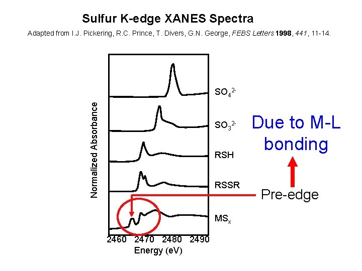 Sulfur K-edge XANES Spectra Adapted from I. J. Pickering, R. C. Prince, T. Divers,