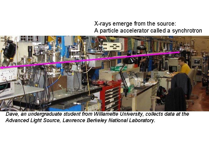 X-rays emerge from the source: A particle accelerator called a synchrotron Dave, an undergraduate