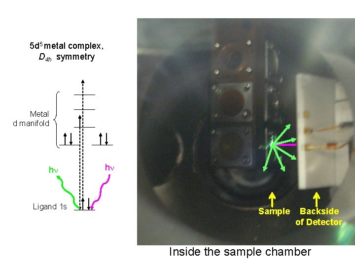 5 d 5 metal complex, D 4 h symmetry Metal d manifold hn Ligand