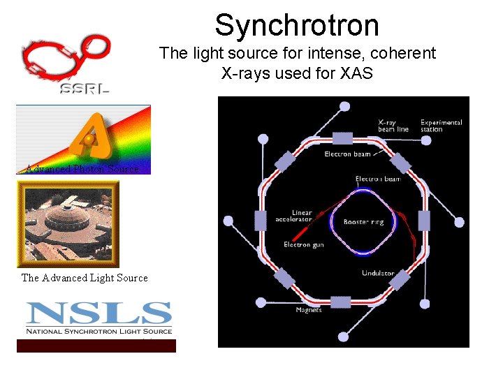 Synchrotron The light source for intense, coherent X-rays used for XAS Advanced Photon Source