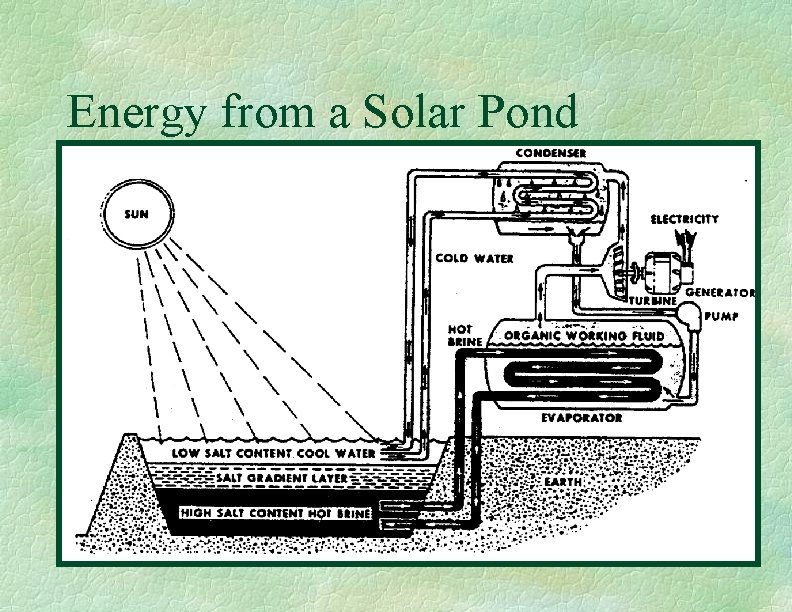 Energy from a Solar Pond 