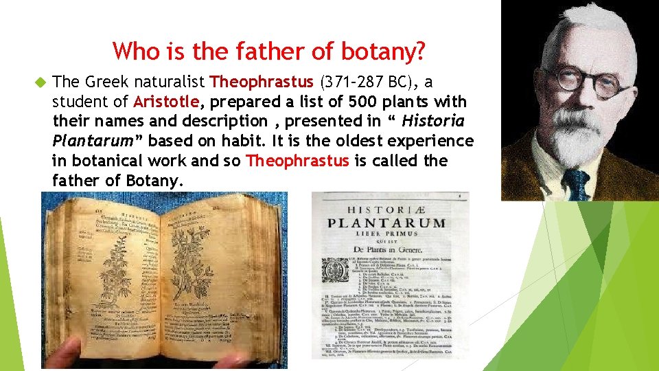 Who is the father of botany? The Greek naturalist Theophrastus (371– 287 BC), a