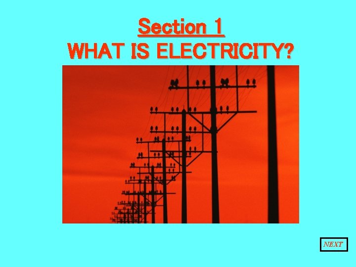 Section 1 WHAT IS ELECTRICITY? NEXT 