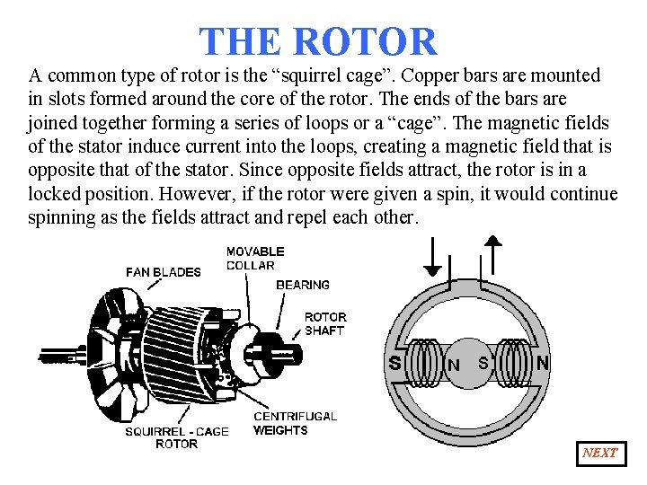 THE ROTOR A common type of rotor is the “squirrel cage”. Copper bars are