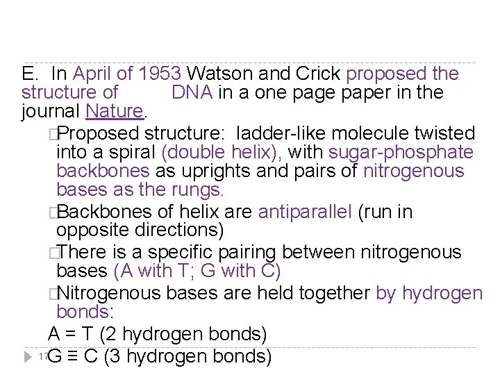 E. In April of 1953 Watson and Crick proposed the structure of DNA in