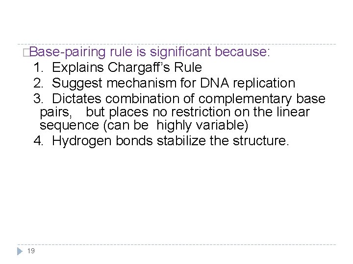 �Base-pairing rule is significant because: 1. Explains Chargaff’s Rule 2. Suggest mechanism for DNA