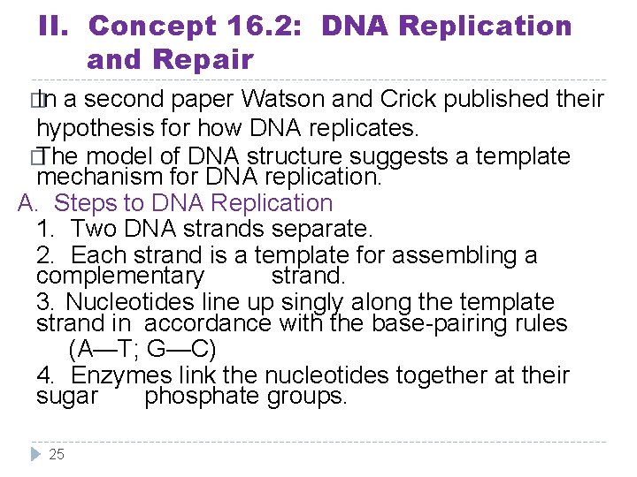 II. Concept 16. 2: DNA Replication and Repair � In a second paper Watson