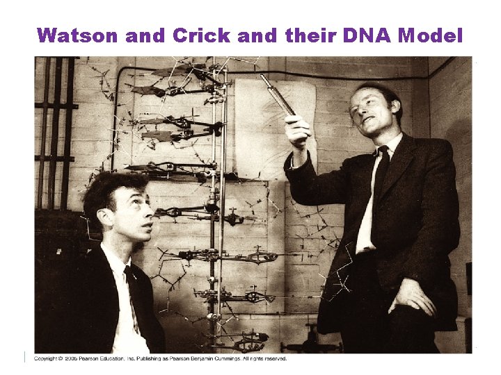 Watson and Crick and their DNA Model 3 
