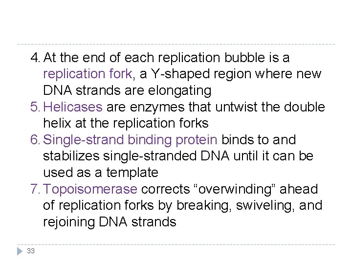 4. At the end of each replication bubble is a replication fork, a Y-shaped