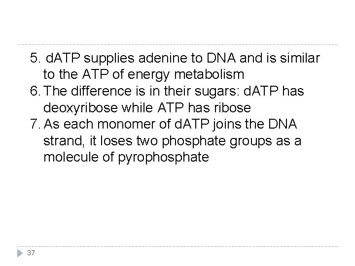 5. d. ATP supplies adenine to DNA and is similar to the ATP of