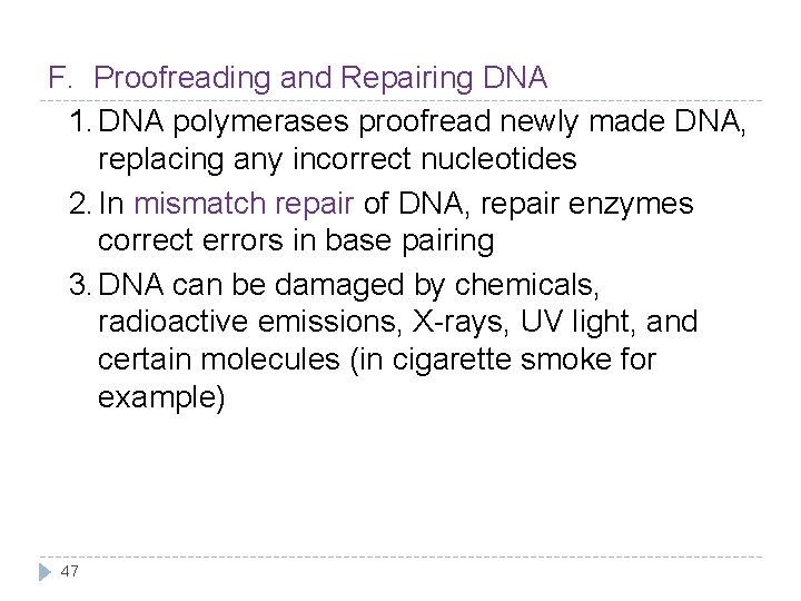F. Proofreading and Repairing DNA 1. DNA polymerases proofread newly made DNA, replacing any