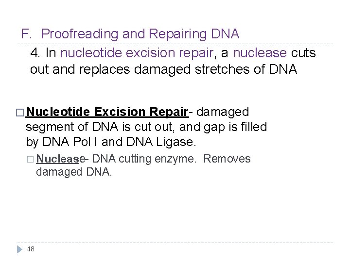 F. Proofreading and Repairing DNA 4. In nucleotide excision repair, a nuclease cuts out