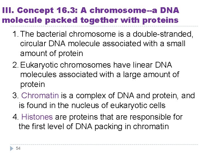III. Concept 16. 3: A chromosome--a DNA molecule packed together with proteins 1. The