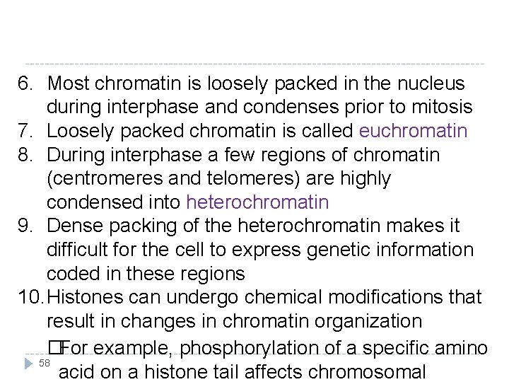 6. Most chromatin is loosely packed in the nucleus during interphase and condenses prior