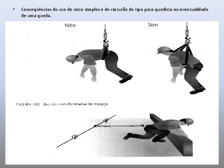  • Conseqüências do uso de cinto simples e de cinturão do tipo pára-quedista