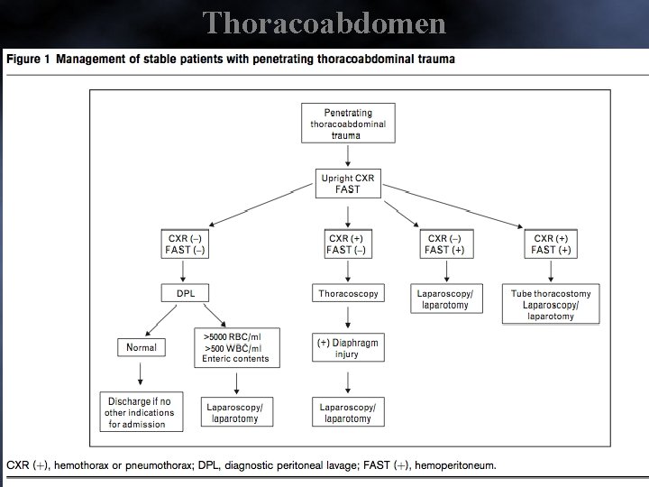 Thoracoabdomen 