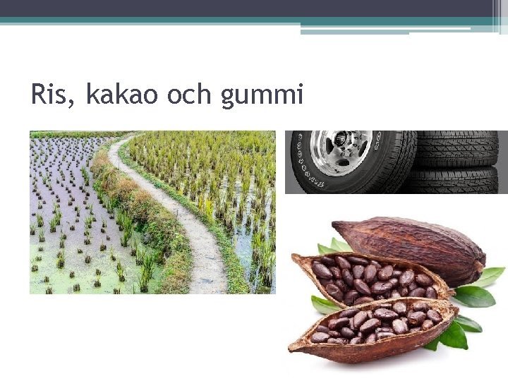 Ris, kakao och gummi 