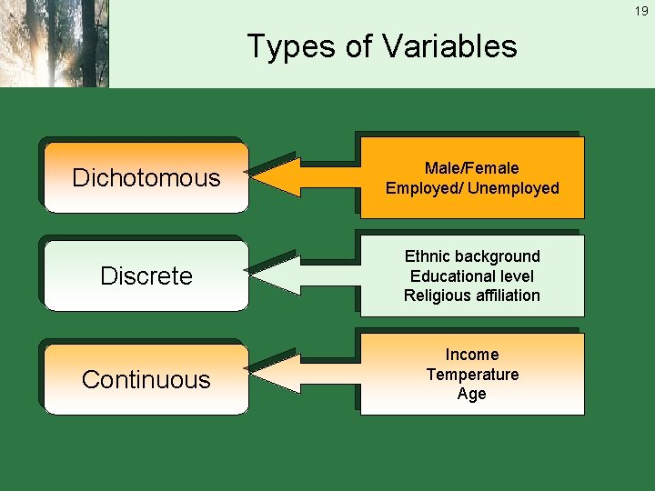 19 Types of Variables Dichotomous Male/Female Employed/ Unemployed Discrete Ethnic background Educational level Religious